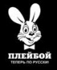 Аватар Ymka
