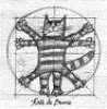 Аватар greshnikvs