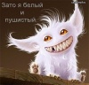 Аватар Doctor