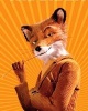 Аватар DrogerFox