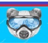 Аватар Badger34